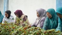 TP PKK Makassar Gandeng Kampus Perkuat UMKM
