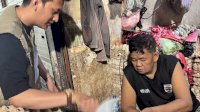 Perumda Pasar Makassar Gencarkan Sosialisasi Pembayaran Non Tunai di Pasar Tradisional