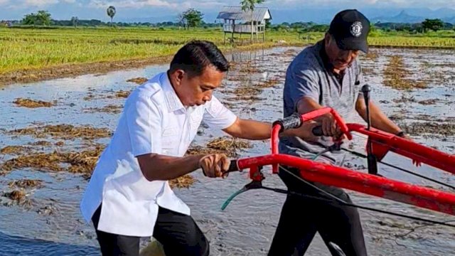 Bangkitkan Lahan Tidur, Pemda Sidrap Gelontorkan Rp75