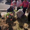 Hijaukan Makassar, Melinda Aksa Tanam 160 Bougenville dan 39 Biopori di Anjungan Losari