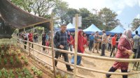 Makassar Siap Jadi Tuan Rumah Konas PABMI 2025