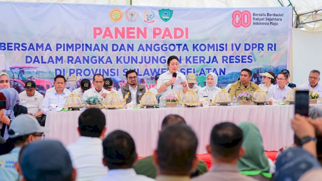 Wagub Sulsel Panen Raya Di Maros, Stik Beras Tembus 9 Ton/Hektar