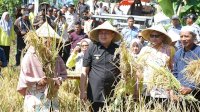 Dorong Optimalkan Lahan, Wali Kota Munafri Ajak Warga Makassar Bertani
