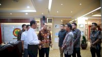 Bupati Sidrap Laporkan Produksi Padi-Jagung Meningkat, Undang Mentan Hadiri Panen Raya