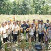 Bupati Luwu Dukung Pengembangan Pertaniant dan Perkebunan