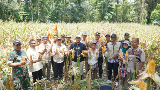 Bupati Luwu Dukung Pengembangan Pertanian dan Perkebunan