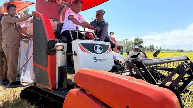 Bupati Sidrap Syaharuddin Alrif Pimpin Panen Perdana Padi di Dua Pitue