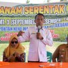 Bupati Sidrap Lanjutkan Program IP300 dengan Tabela di Allakkuang Usai Panen Raya