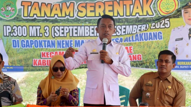 Bupati Sidrap Lanjutkan Program IP300 dengan Tabela di Allakkuang Usai Panen Raya