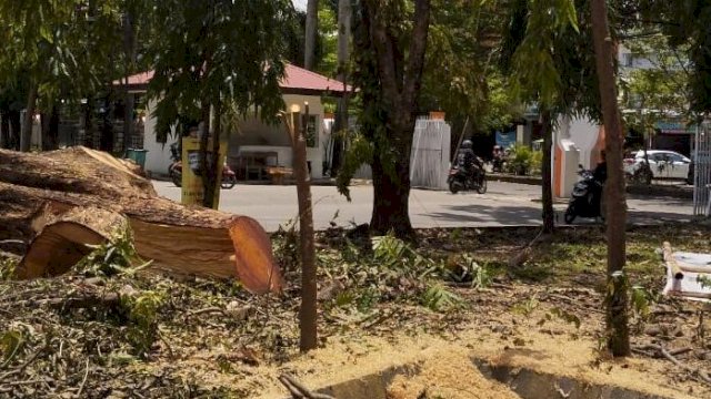 Penebangan Pohon di UNM: Antara Pembangunan dan Komitmen Green Campus