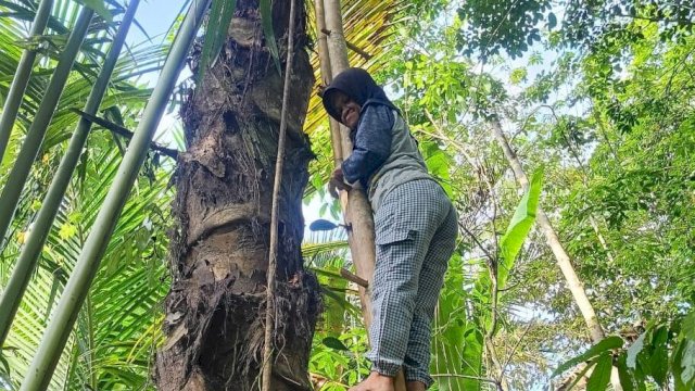 Kegiatan &ldquo;Minum Kopi Gula Aren Peserta Terbanyak&rdquo; Angkat UMKM Disabilitas sebagai Mitra Suplai