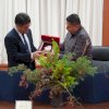 Konektivitas Kepulauan Naik Kelas, Pemkot Makassar Dekatkan Teknologi Jepang ke Sangkarrang