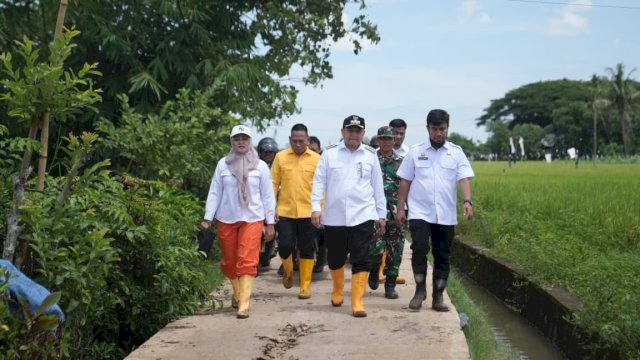 Munafri Tinjau Langsung Jalan Rusak di Romang Tangayya, Anggarkan Rp4 Miliar