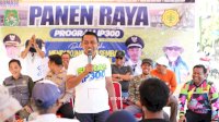 Dari Bulo Panca Rijang, Program IP 300 Sidrap Tunjukkan Hasil Nyata