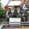 Lancirang Panen IP300, Mantapkan Peran Sidrap sebagai Penyangga Pangan Nasional