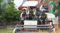 Lancirang Panen IP300, Mantapkan Peran Sidrap sebagai Penyangga Pangan Nasional