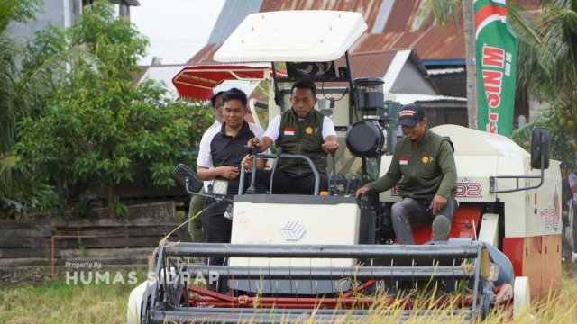 Lancirang Panen IP300, Mantapkan Peran Sidrap sebagai Penyangga Pangan Nasional