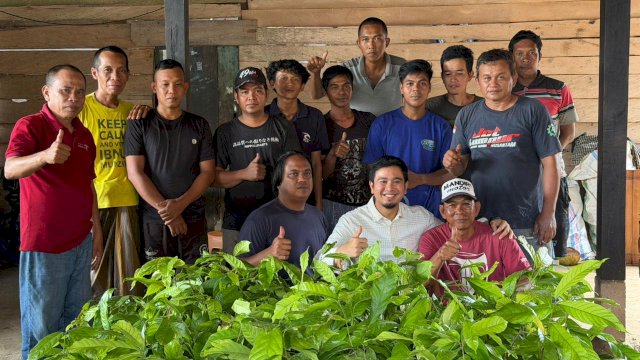 Usai di Campalagian, Andri Singkarru Salurkan Ratusan Bibit Kakao untuk Petani Mapilli