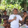 Sidrap Kembangkan Kelapa Genjah Pandan Wangi, Bupati Lakukan Penanaman Perdana
