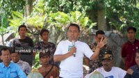 Sidrap Kembangkan Kelapa Genjah Pandan Wangi, Bupati Lakukan Penanaman Perdana