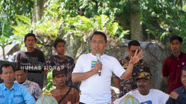 Sidrap Kembangkan Kelapa Genjah Pandan Wangi, Bupati Lakukan Penanaman Perdana