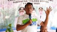 Pemkab Sidrap Salurkan 70 Ribu Bibit Kakao, Dorong Peningkatan Kesejahteraan Petani