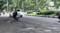 Kadir Halid Soroti Kerusakan Parah Jalan Trans Sulawesi, Minta Perhatian Serius Kementerian PU