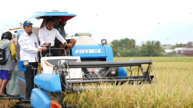 Bupati Sidrap Bersama Kepala BBPP Batangkaluku Panen Perdana MT I di Desa Sereang