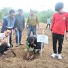 Bupati dan Wabup Sidrap Tanam Alpukat di Desa Lombo, Dorong Hortikultura Unggulan