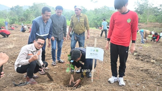 Bupati dan Wabup Sidrap Tanam Alpukat di Desa Lombo, Dorong Hortikultura Unggulan