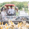Sawah Lakessi Hasilkan 9&ndash;10 Ton per Hektare, Sidrap Perkuat PredikatLumbung Pangan