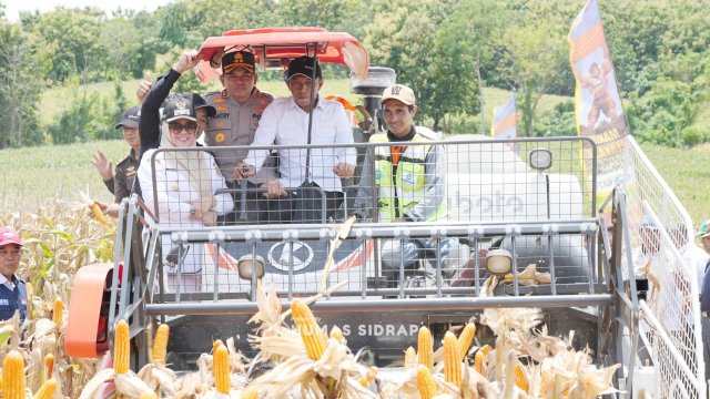 Sawah Lakessi Hasilkan 9&ndash;10 Ton per Hektare, Sidrap Perkuat PredikatLumbung Pangan