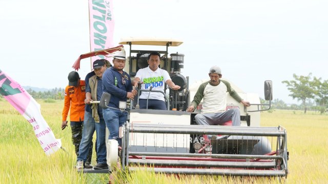 Panen Raya di Otting, Bupati Sidrap Paparkan Strategi Perkuat Pertanian dan Ketahanan Pangan