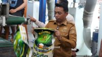 Usai Panen Raya, Bupati Sidrap Kunjungi Pabrik Beras Rahma 35
