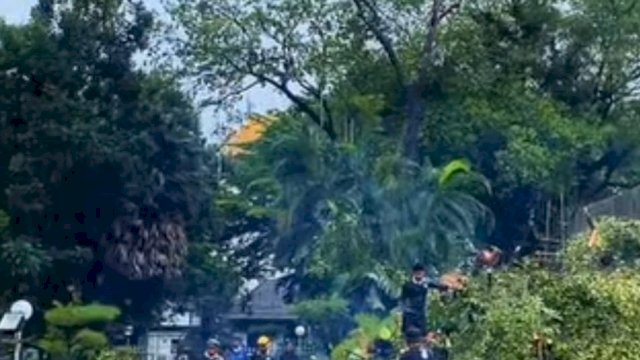 Waspada Cuaca Ekstrem, DLH Catat 102 Pohon Tumbang di Makassar Sepanjang Januari 2026