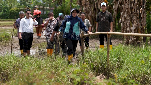 Dari EWS hingga Kolam Retensi, Pemkot Makassar Perkuat Mitigasi di Perumnas Antang