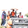 Bupati Sidrap Panen Padi di Bulo, Produksi Naik Pendapatan Petani Meningkat