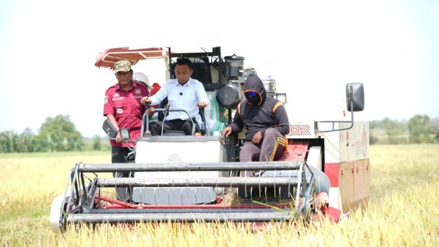 Panen di Bawah Terik Ramadhan, Bupati Sidrap Ajak Petani Kejar Berkah dan Tingkatkan Produksi