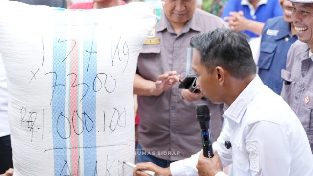Dari Lasiwala ke Walatedong, Bupati Sidrap Pimpin Dua Panen Padi dalam Sehari