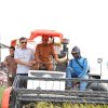 Panen Raya di Wala, Bupati Sidrap Semangati Petani Kejar Target Produksi 10 Ton