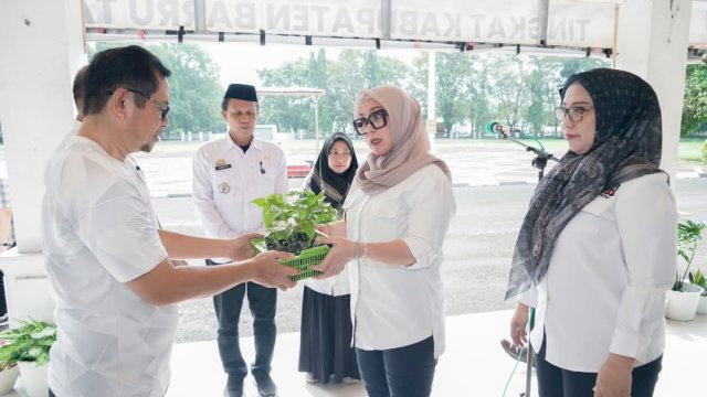 Bupati Barru Pimpin Gerakan Tanam Cabai ASN untuk Kendalikan Inflasi