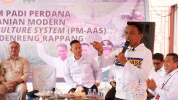 Sidrap Jadi Rujukan Nasional, Tapi Diuji: Benarkah Pertanian Modernnya Siap Direplikasi?