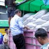 Mentan ASS Cek Stok Beras di Gudang Bulog Makassar