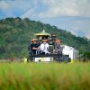 Panen Raya Pinrang Capai 6,8 Ton per Hektare, Perkuat Peran Sulsel sebagai Lumbung Pangan