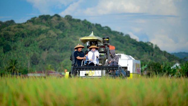 Panen Raya Pinrang Capai 6,8 Ton per Hektare, Perkuat Peran Sulsel sebagai Lumbung Pangan