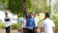 Benahi Wajah Kota, Bupati Sidrap Turun Langsung Tata Kawasan Stadion Ganggawa