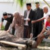 Bupati Syaharuddin dan Keluarga Berbagi Kebahagiaan Kurban di Hari Iduladha