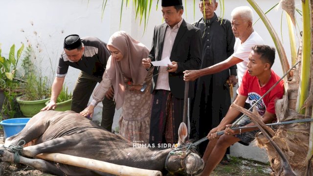 Bupati Syaharuddin dan Keluarga Berbagi Kebahagiaan Kurban di Hari Iduladha