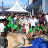 Bupati Sidrap Sembelih Langsung Hewan Kurban Bantuan Presiden, Warga Antusias