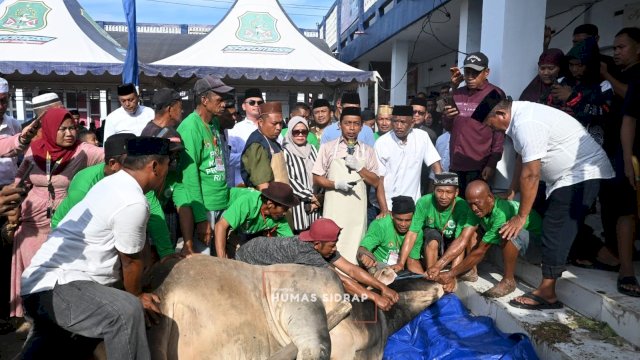 Bupati Sidrap Sembelih Langsung Hewan Kurban Bantuan Presiden, Warga Antusias